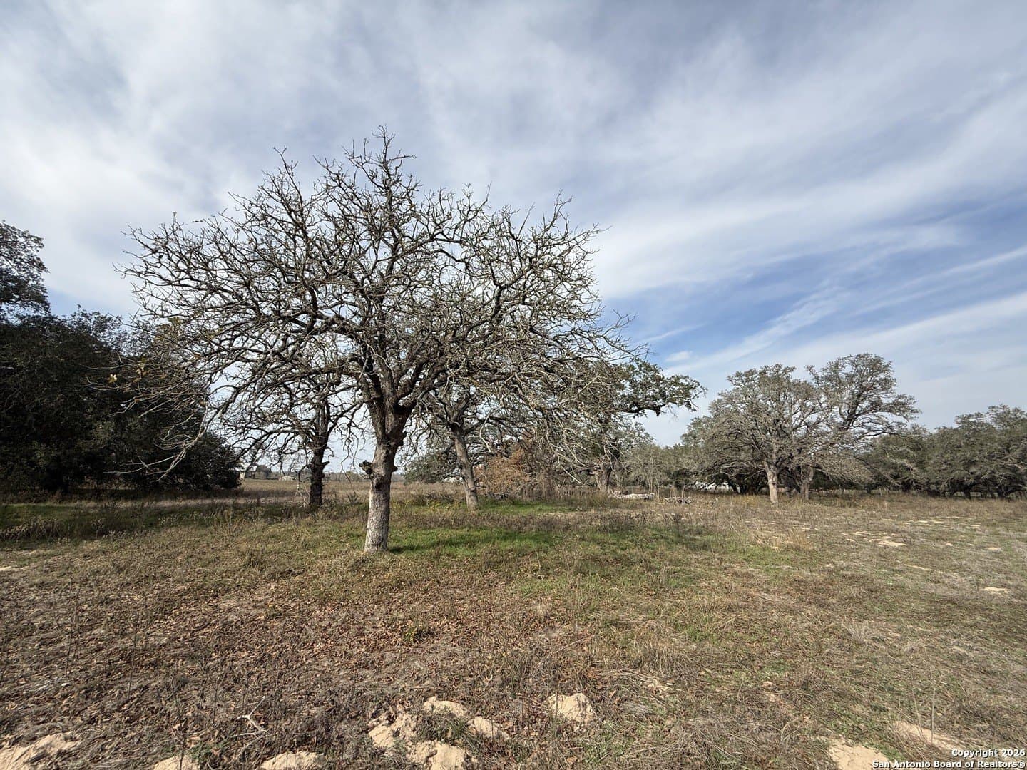 10.87 acres in Wilson County - photo 14