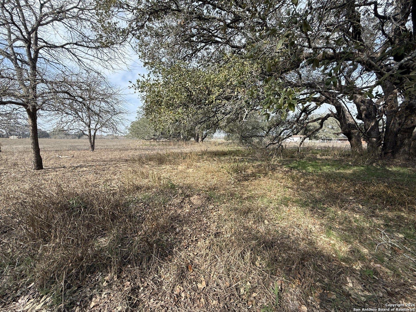 10.87 acres in Wilson County - photo 8
