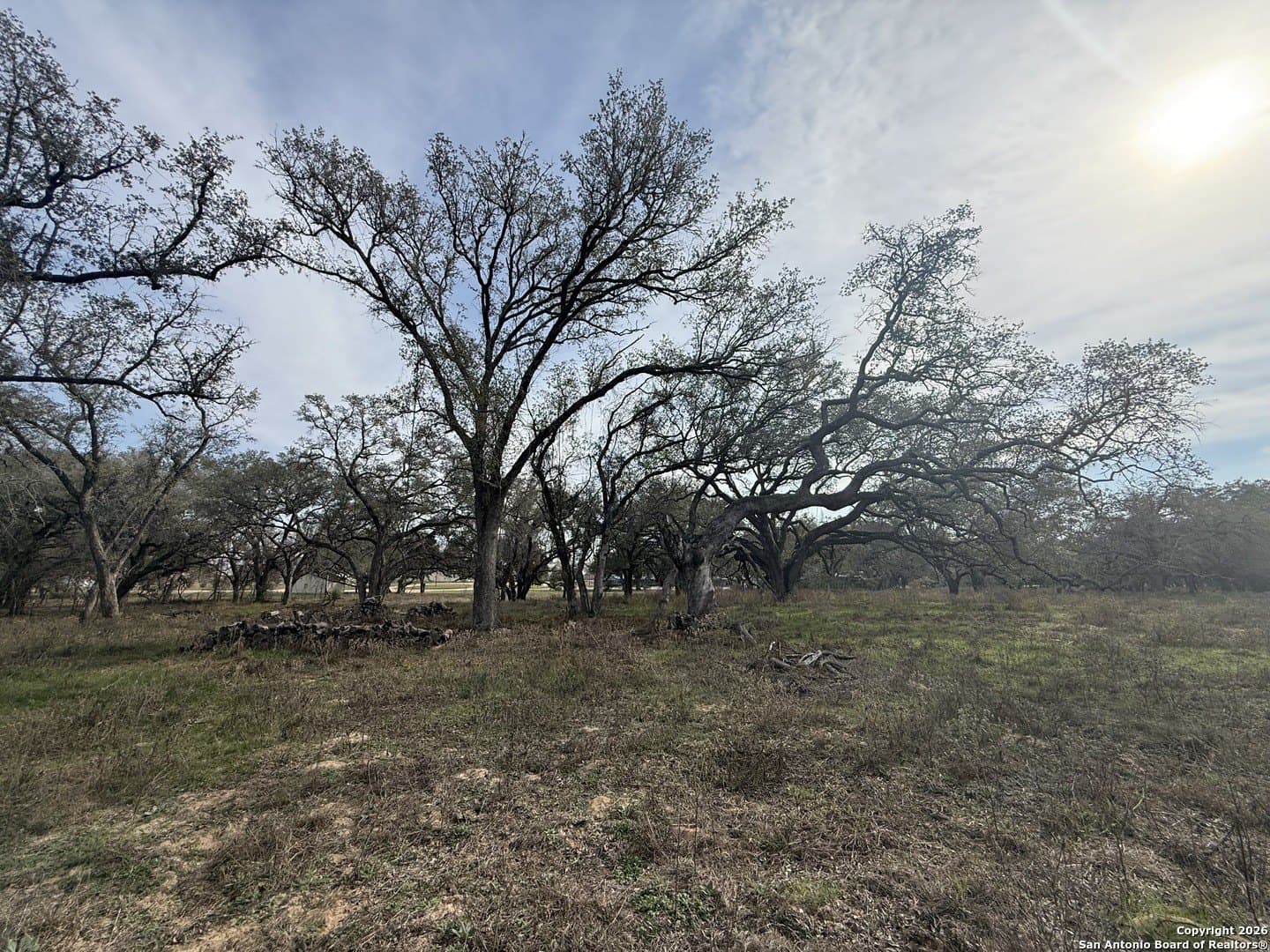 10.87 acres in Wilson County - photo 17