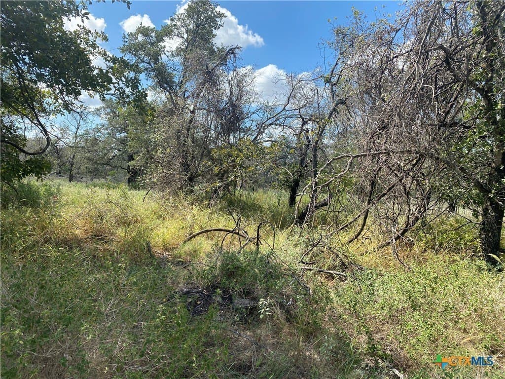 6.41 acres in Medina County - photo 4