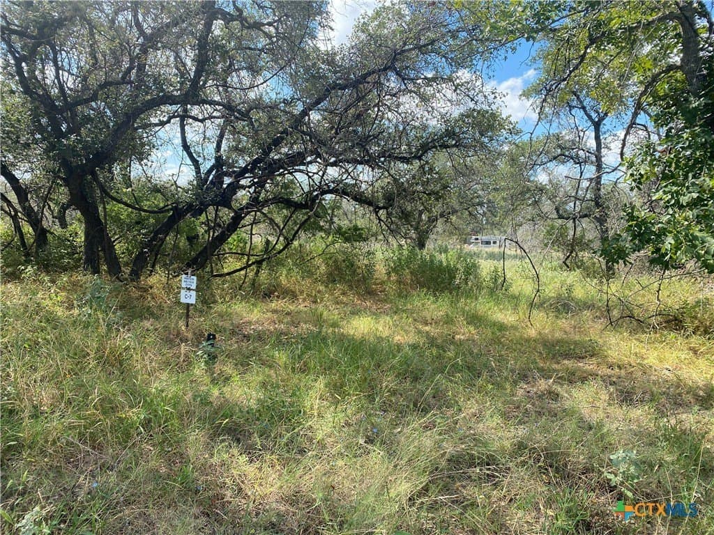 6.41 acres in Medina County - photo 6