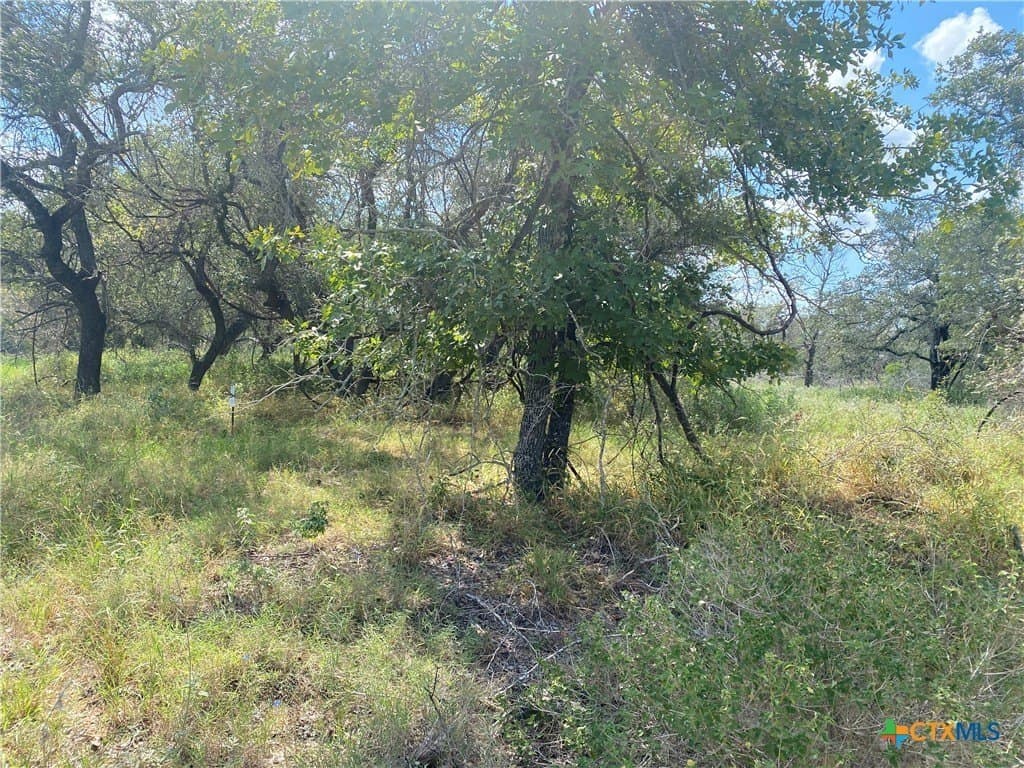 6.41 acres in Medina County - photo 3