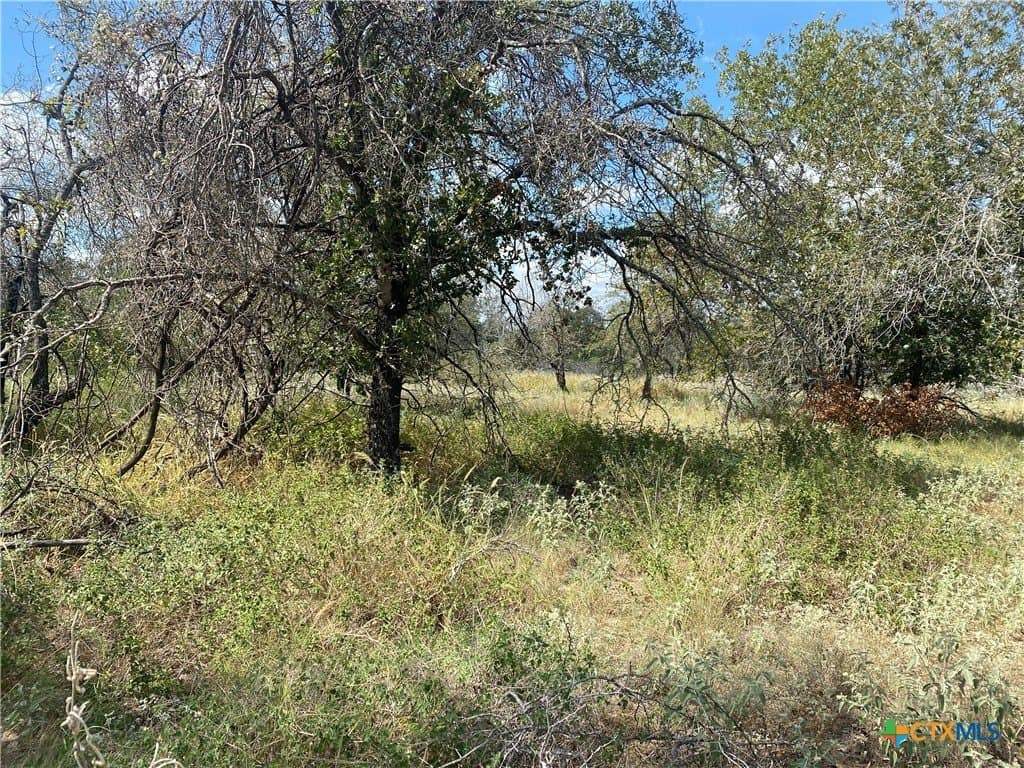 6.41 acres in Medina County - photo 5