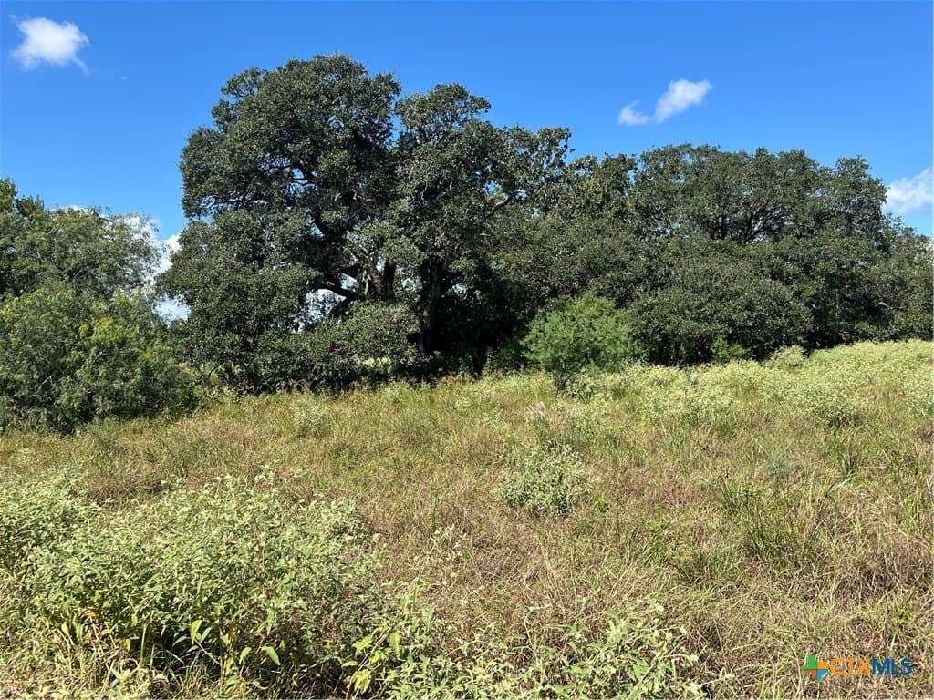 6.41 acres in Medina County - photo 7
