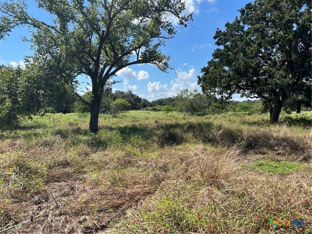 6.41 acres in Medina County - photo 10