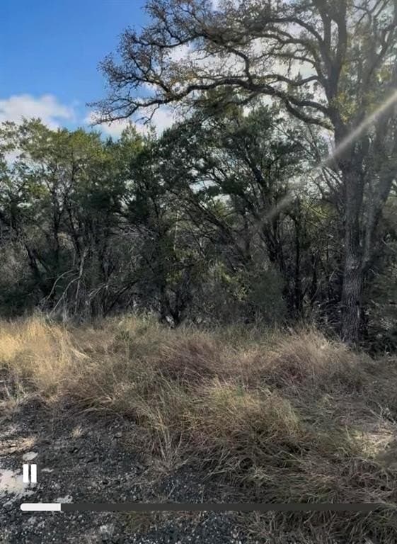 0.27 acres in Burnet County - photo 6