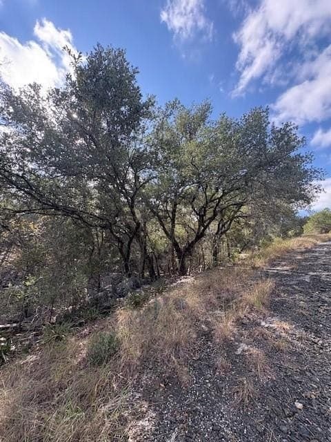 0.27 acres in Burnet County - photo 4