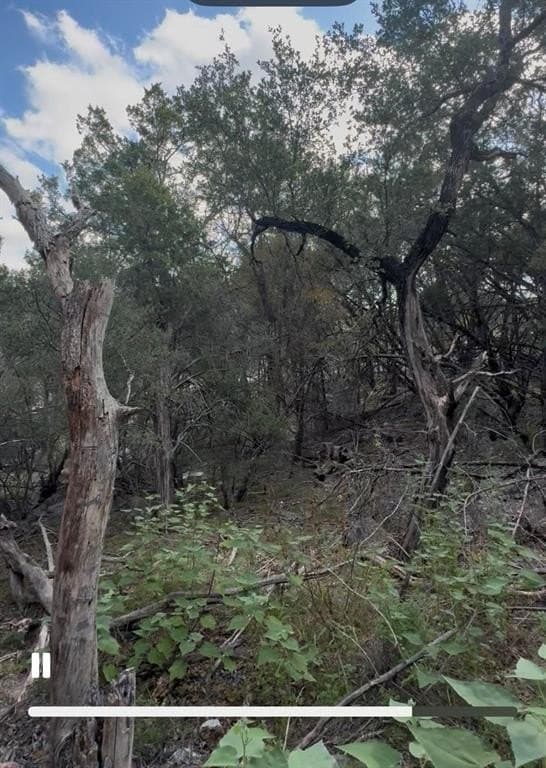 0.27 acres in Burnet County - photo 5