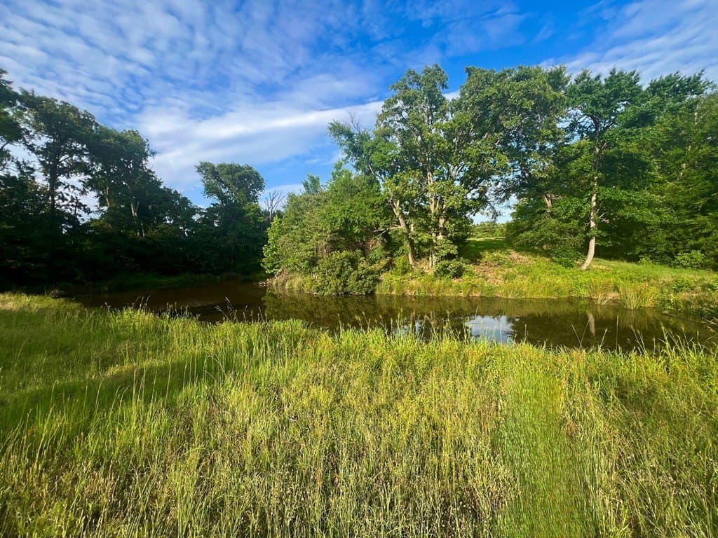 4.04 acres in Henderson County - photo 3