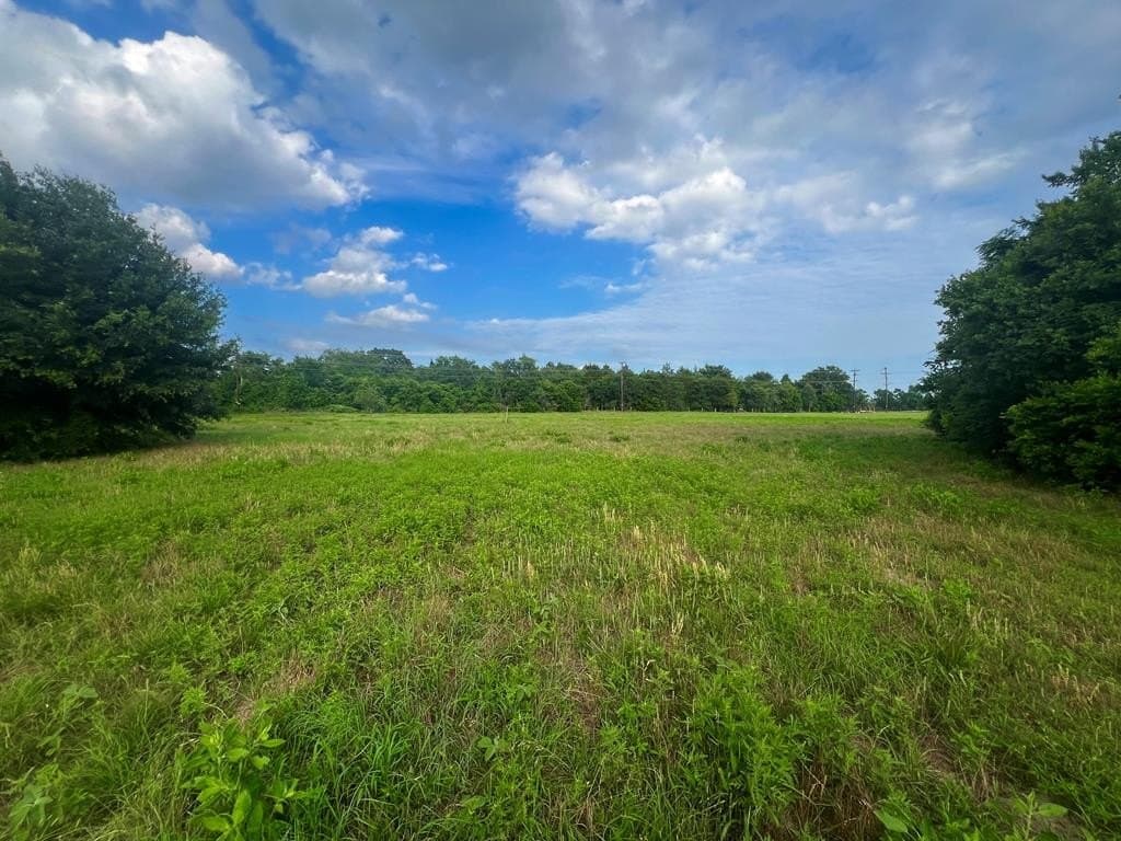 4.04 acres in Henderson County - photo 4