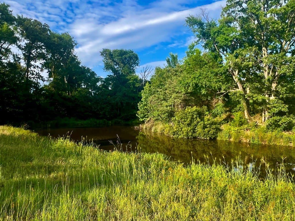 4.04 acres in Henderson County - photo 2