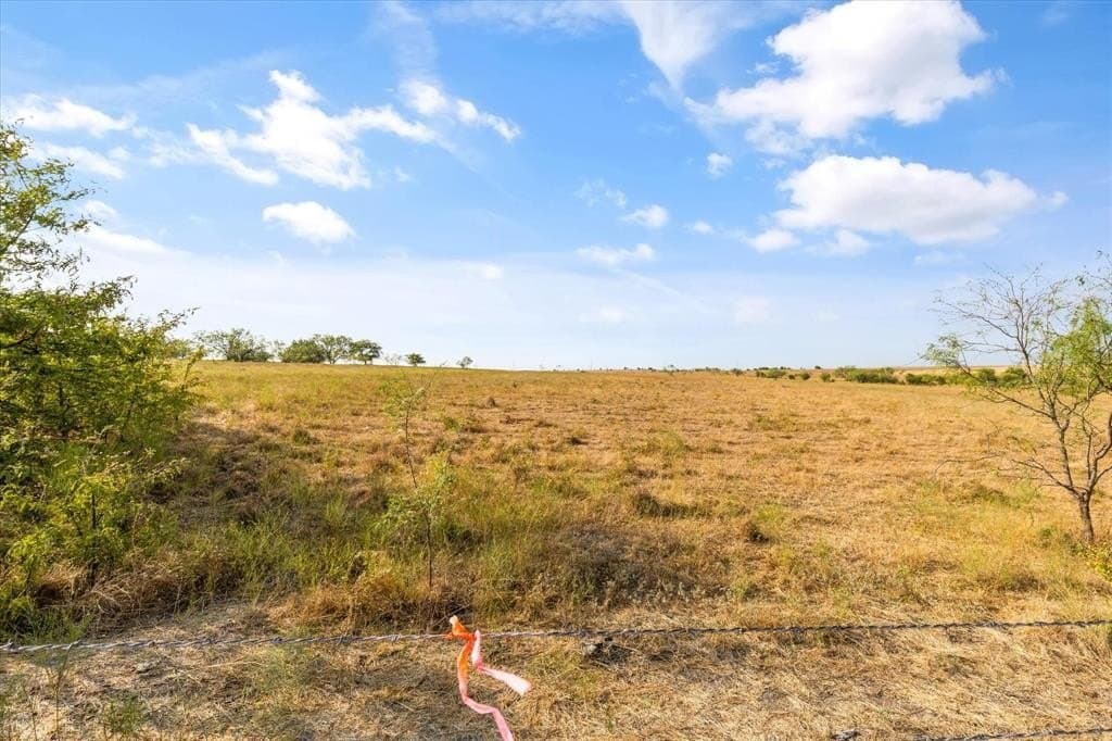 232 acres in Hill County - photo 4