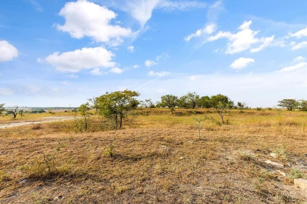 232 acres in Hill County - photo 3