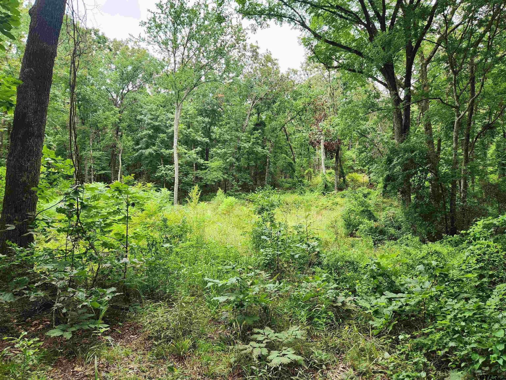 1.78 acres in Smith County - photo 4