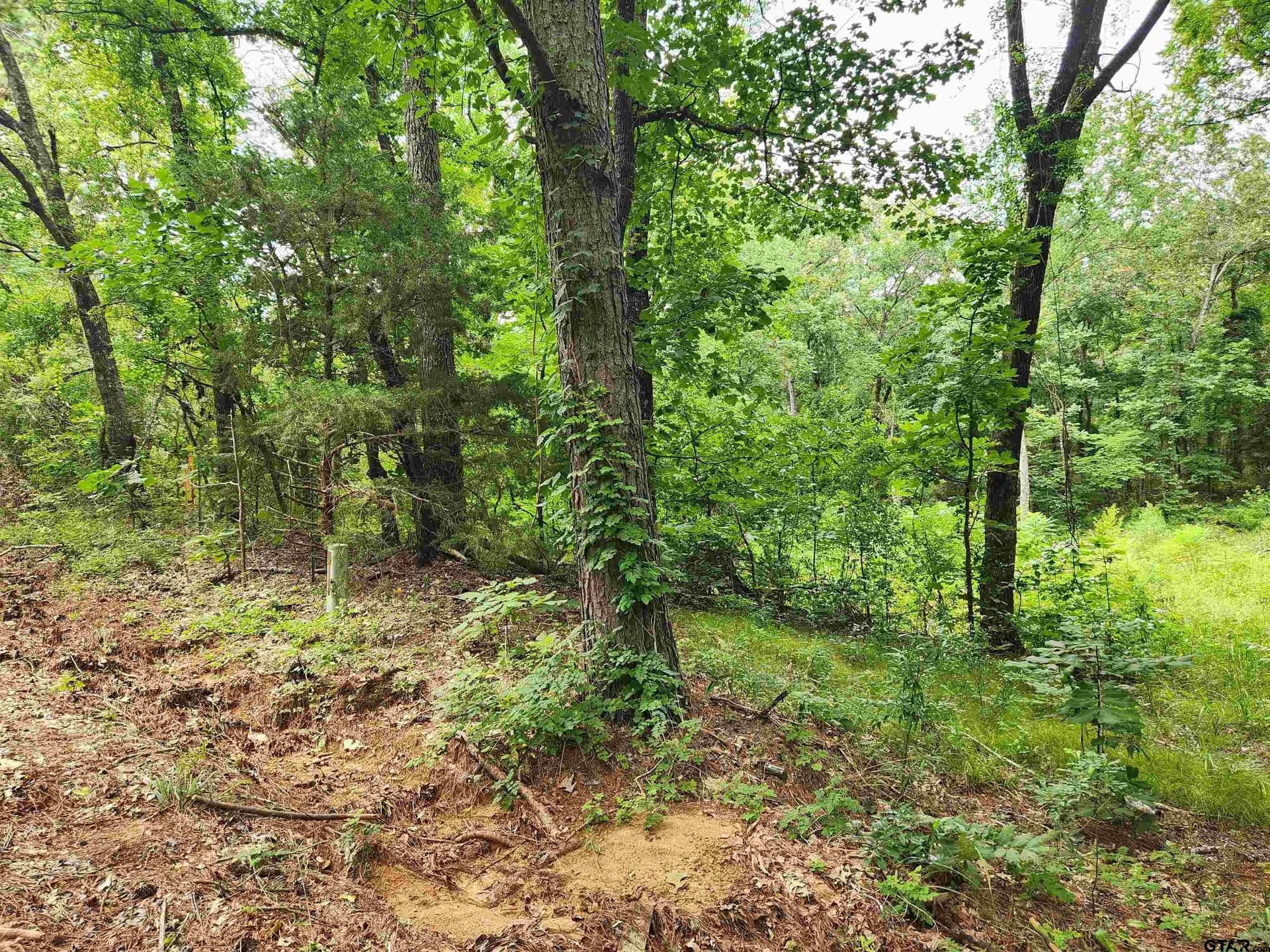 1.78 acres in Smith County - photo 2