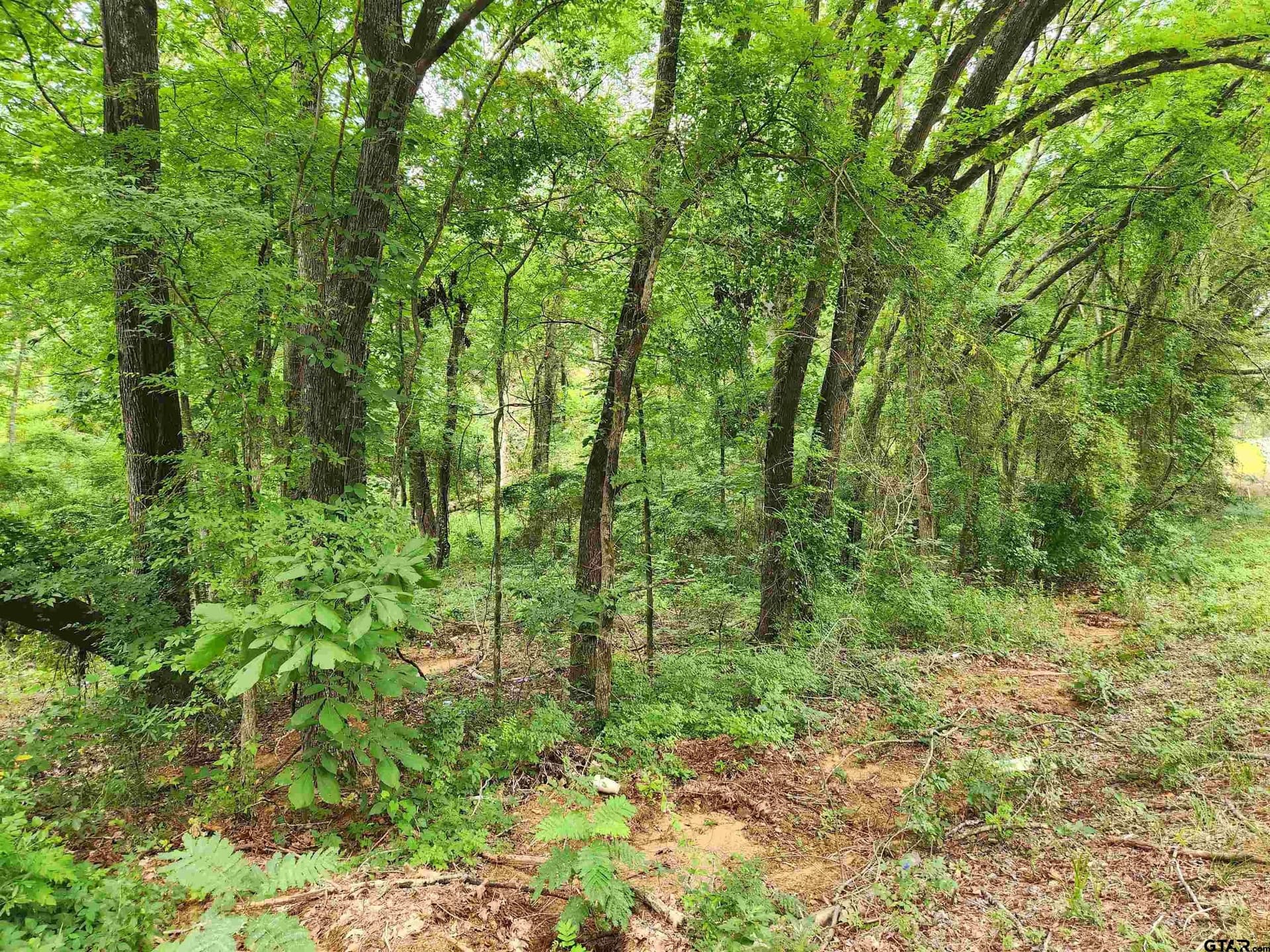 1.78 acres in Smith County - photo 3