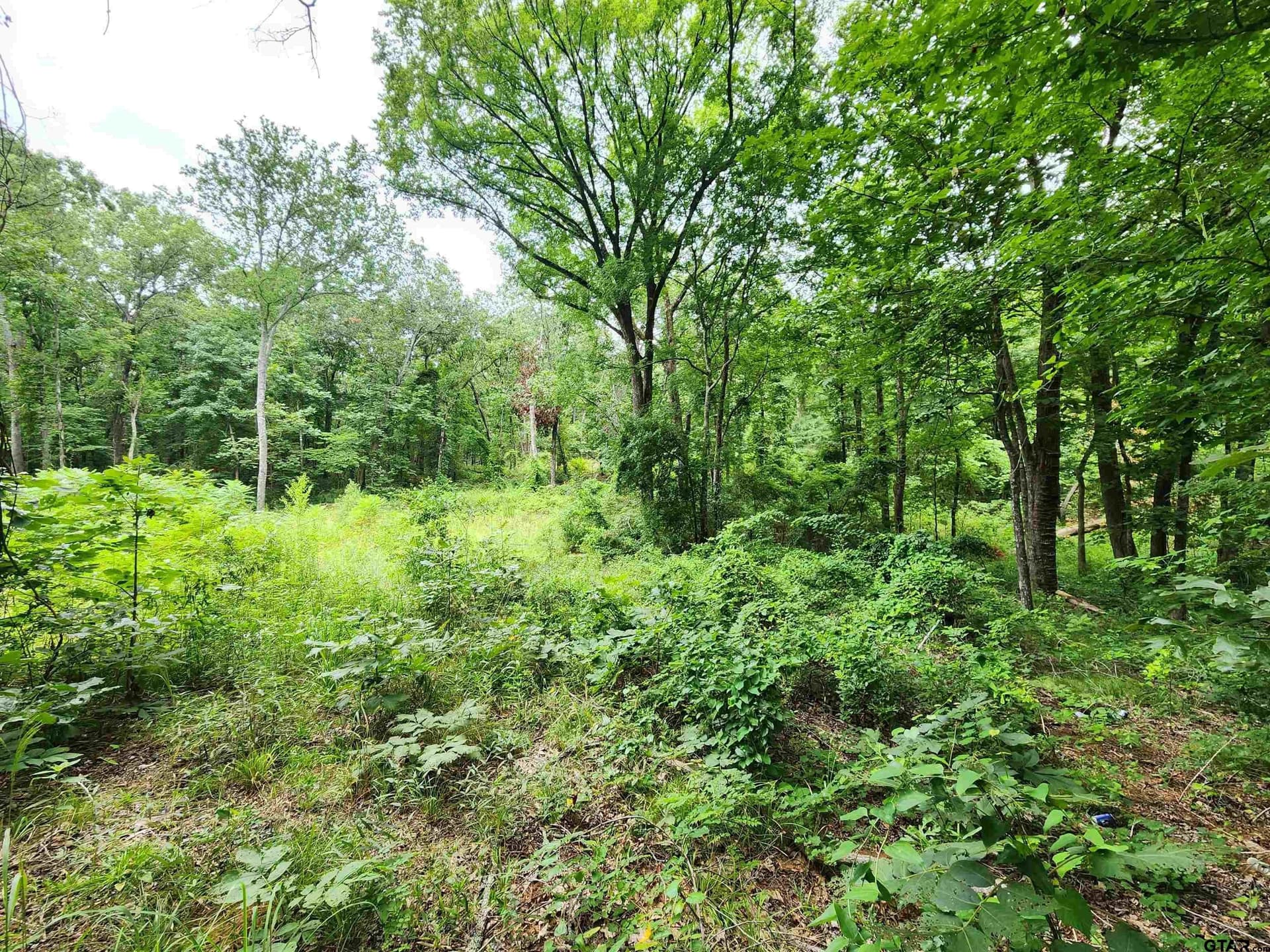 1.78 acres in Smith County - photo 5
