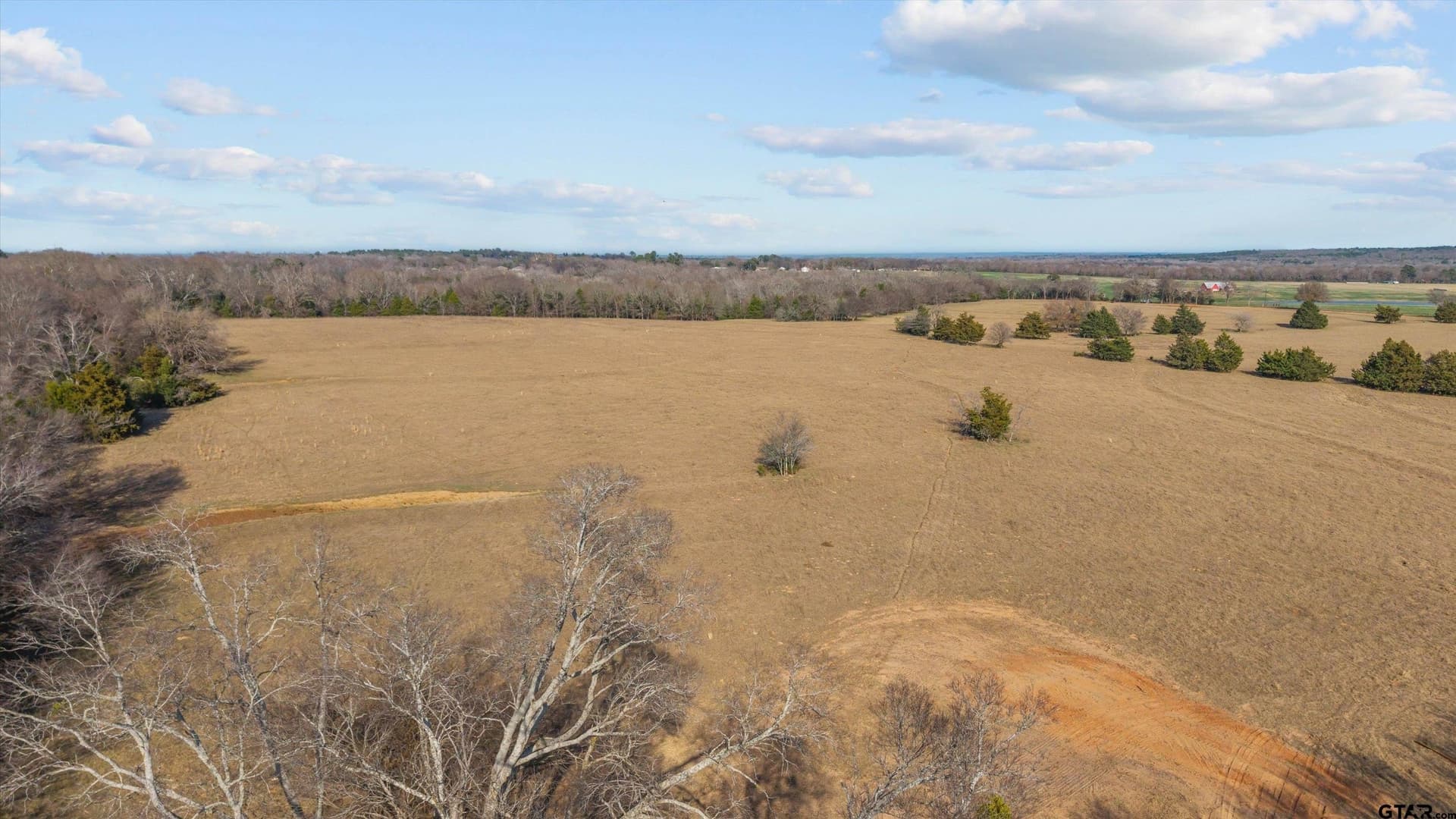 13.2 acres in Smith County - photo 10