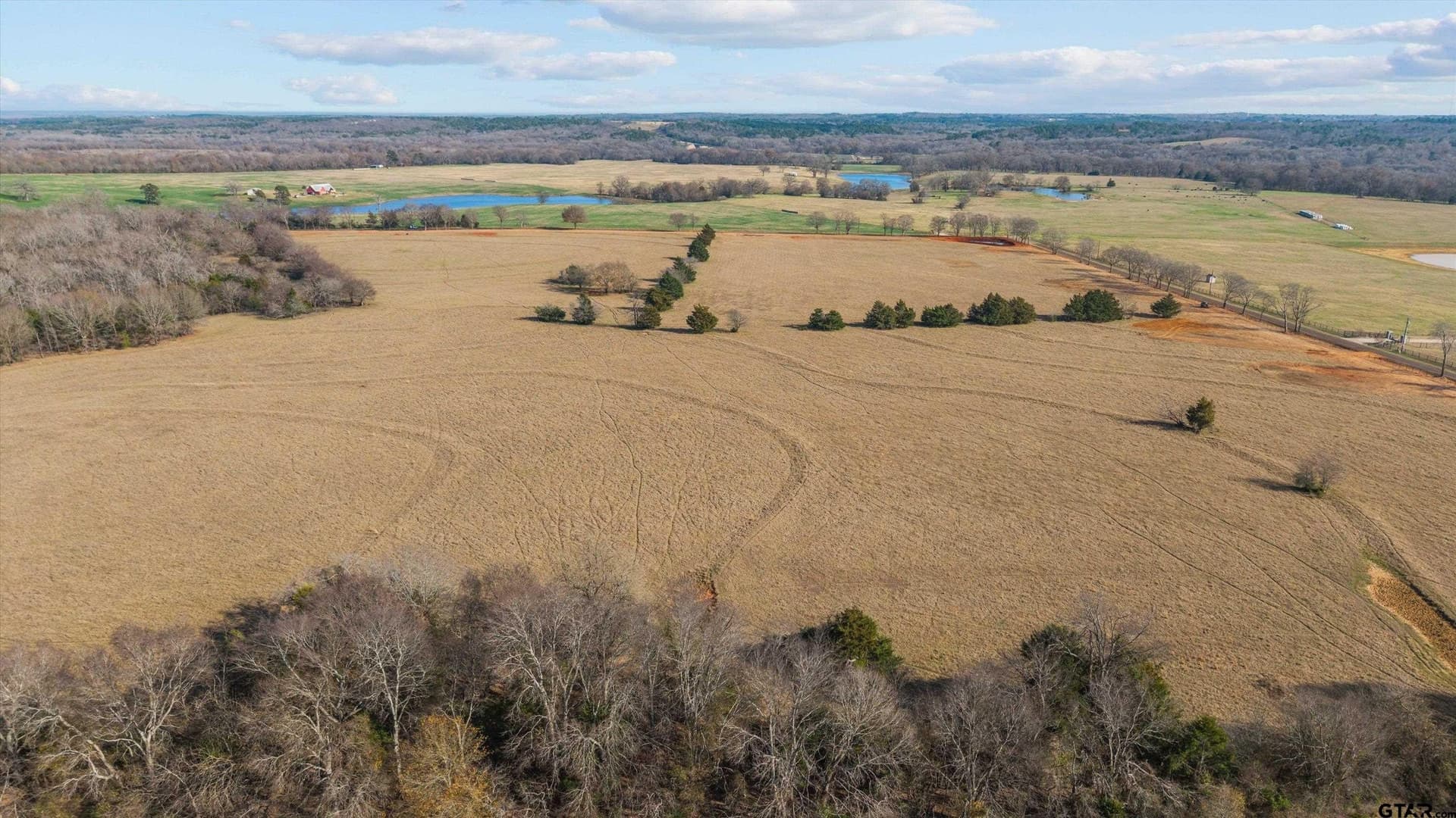 13.2 acres in Smith County - photo 13