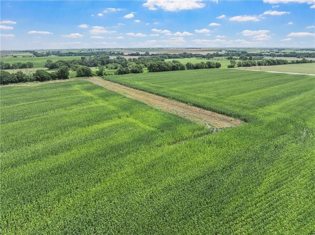 126 acres in McLennan County - photo 9