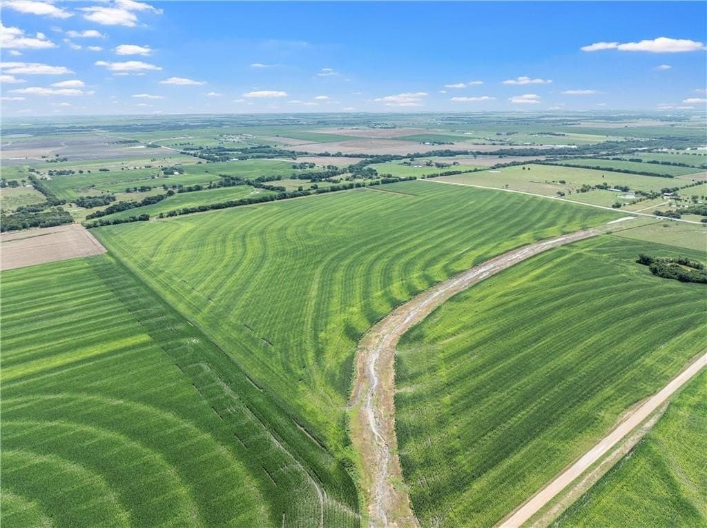 126 acres in McLennan County - photo 5