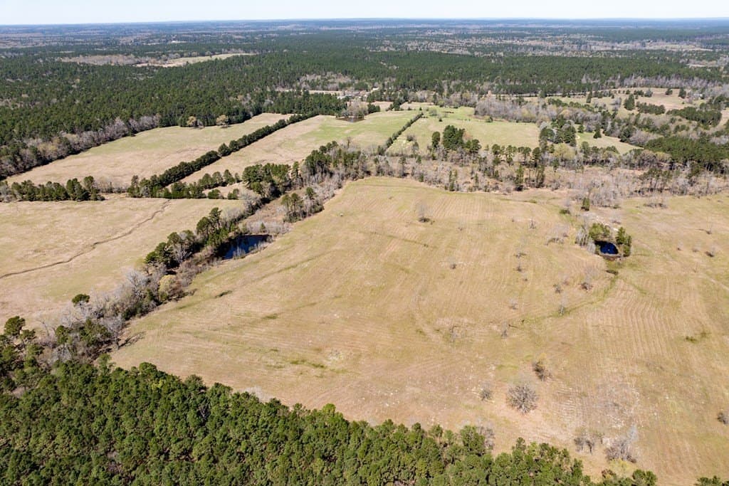 40 acres in HOUSTON County - photo 2