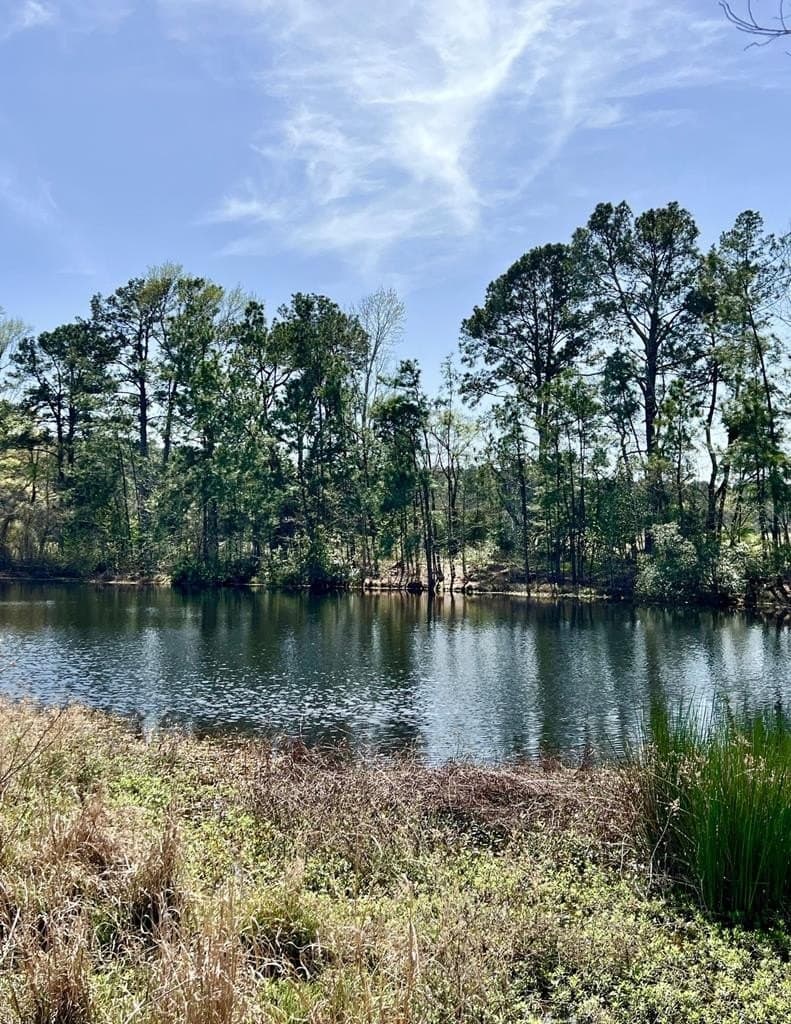 40 acres in HOUSTON County - photo 32
