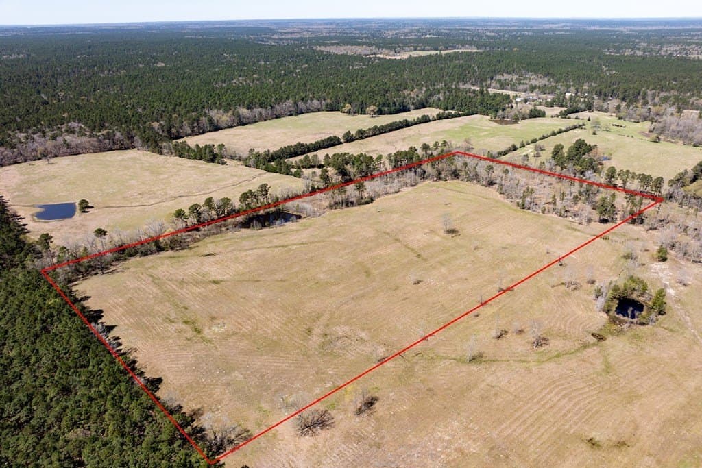 40 acres in HOUSTON County - photo 4