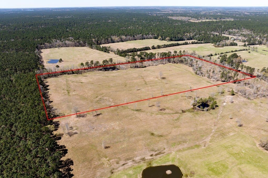 40 acres in HOUSTON County - photo 5
