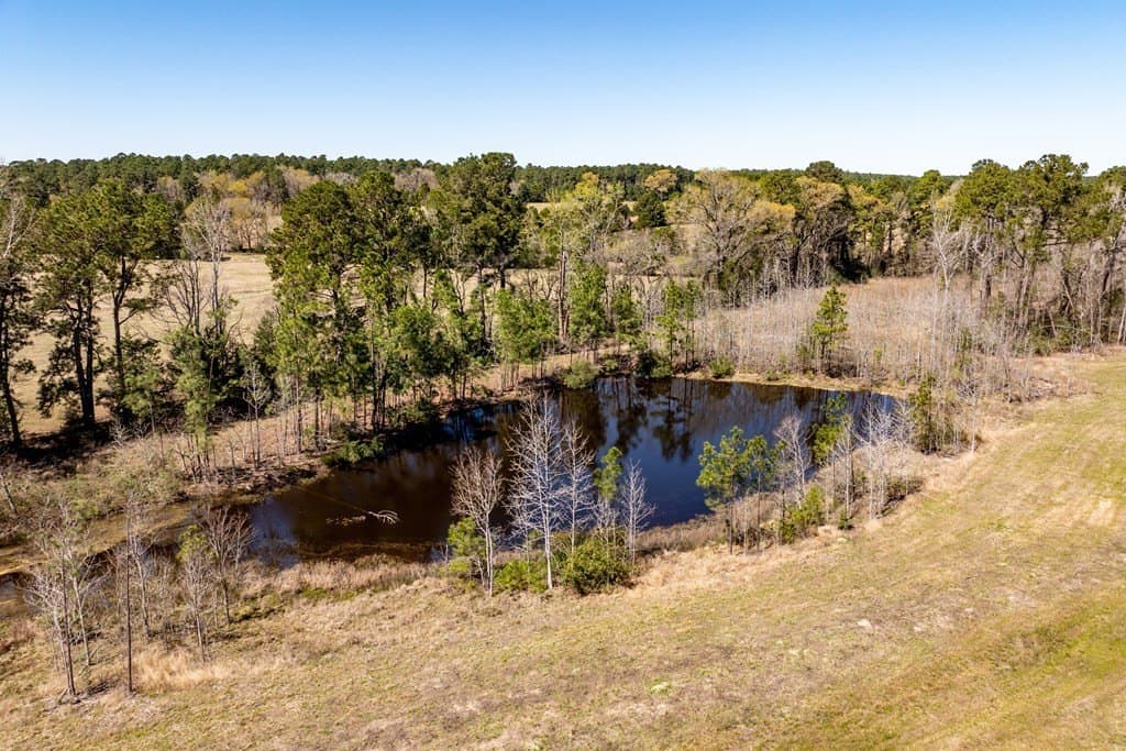 40 acres in HOUSTON County - photo 7