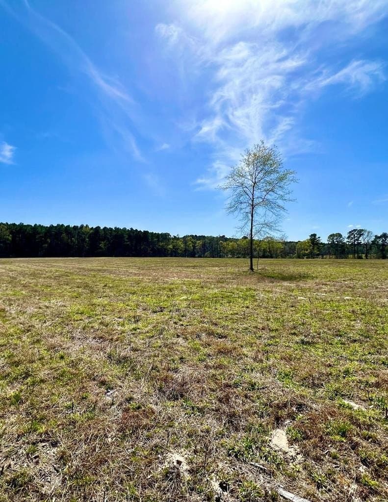 40 acres in HOUSTON County - photo 30