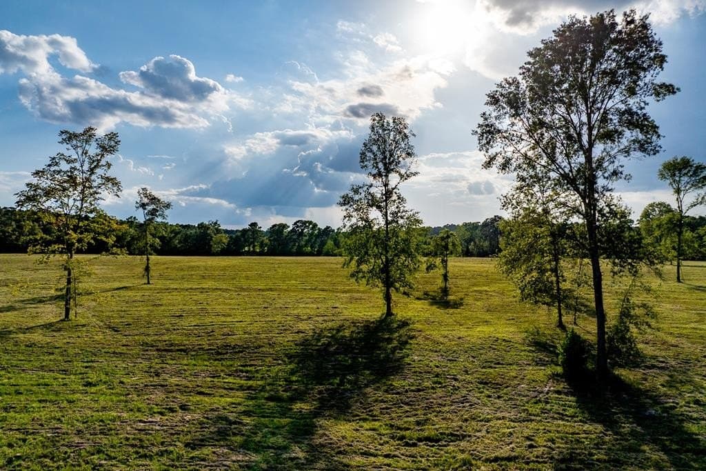 40 acres in HOUSTON County - photo 24