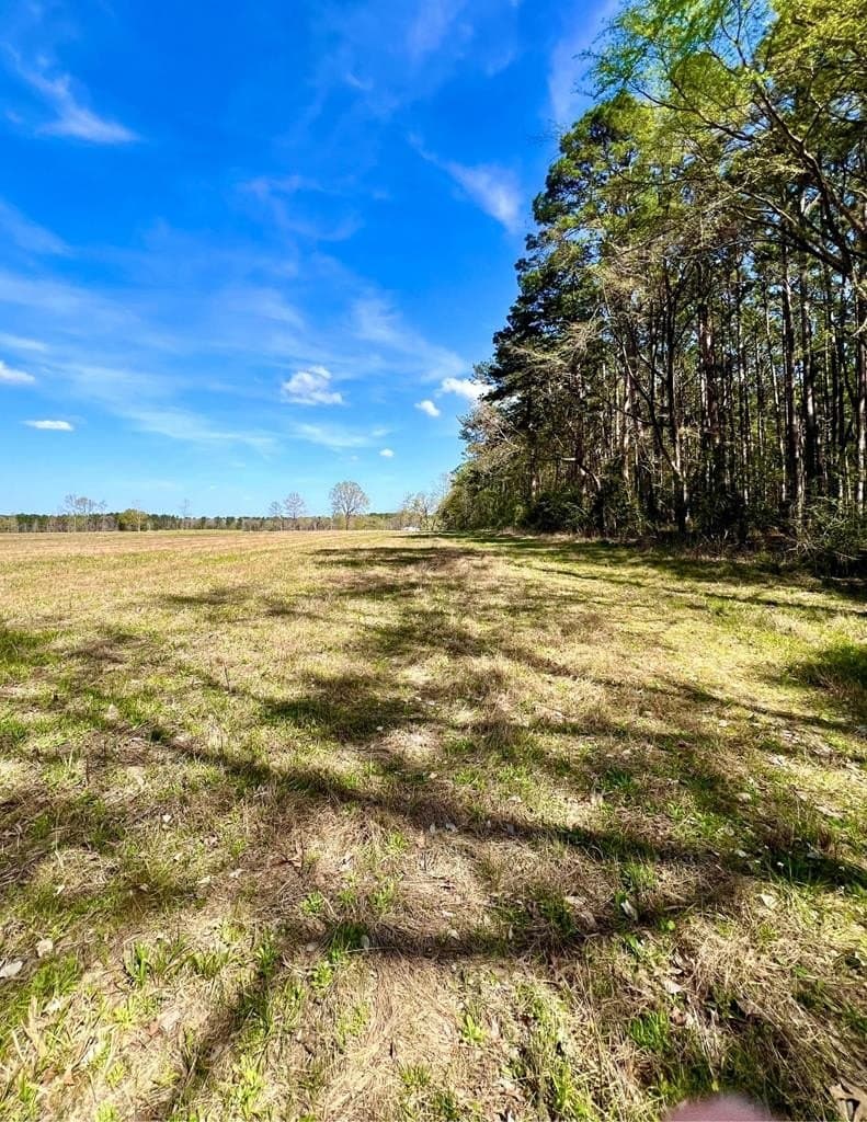 40 acres in HOUSTON County - photo 28