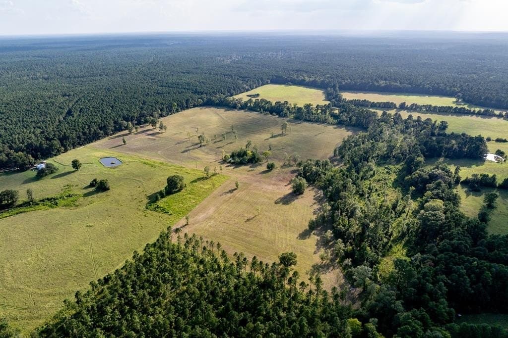 40 acres in HOUSTON County - photo 13