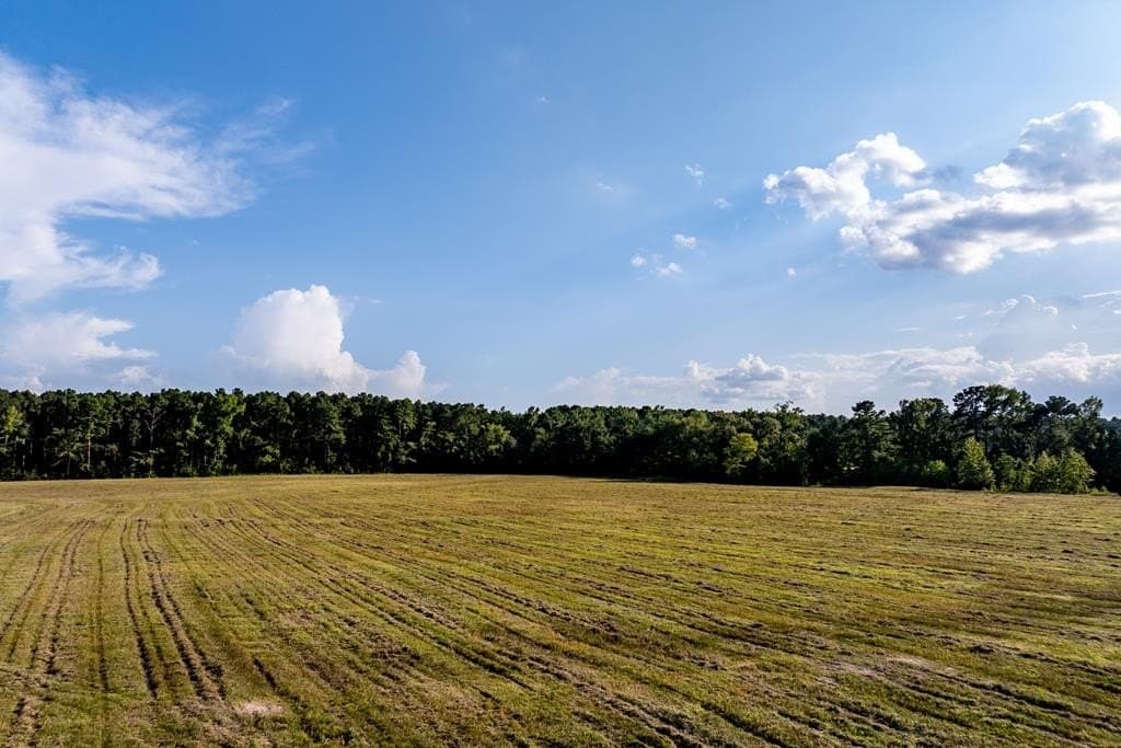 40 acres in HOUSTON County - photo 23