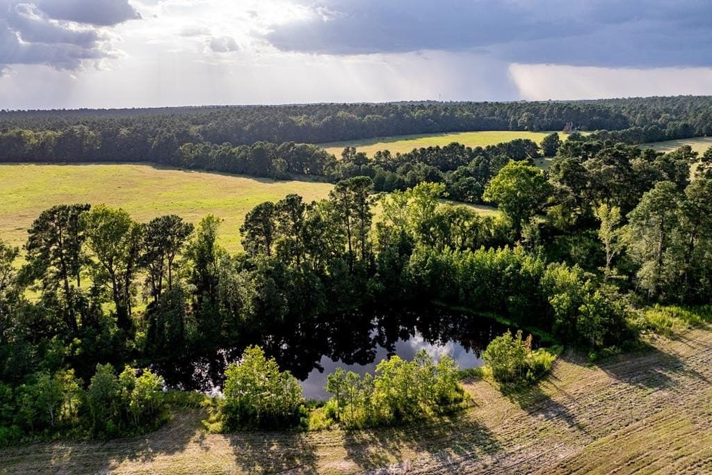 40 acres in HOUSTON County - photo 14