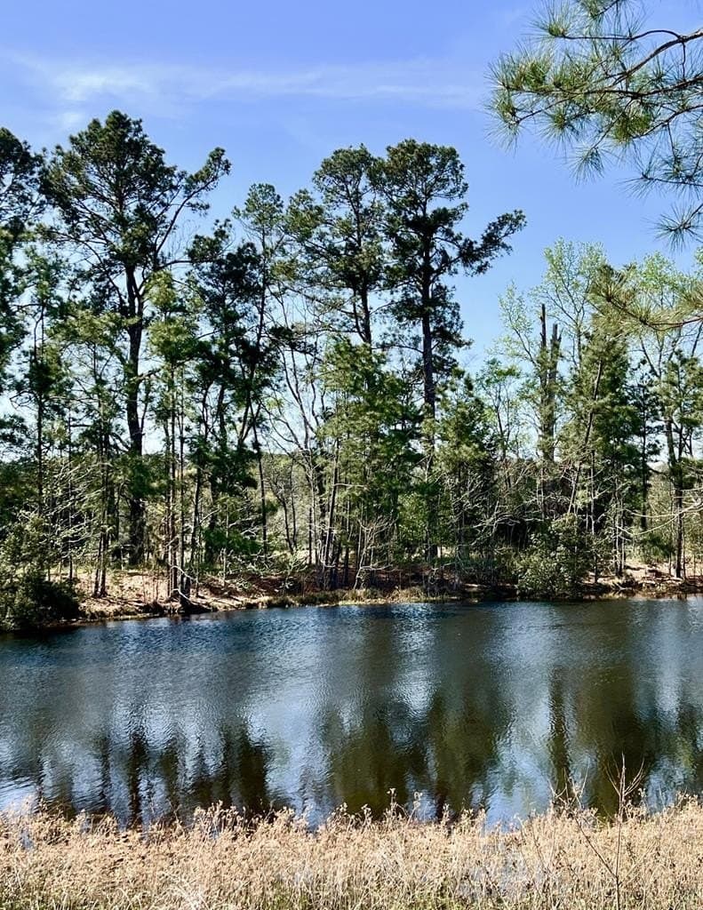 40 acres in HOUSTON County - photo 29