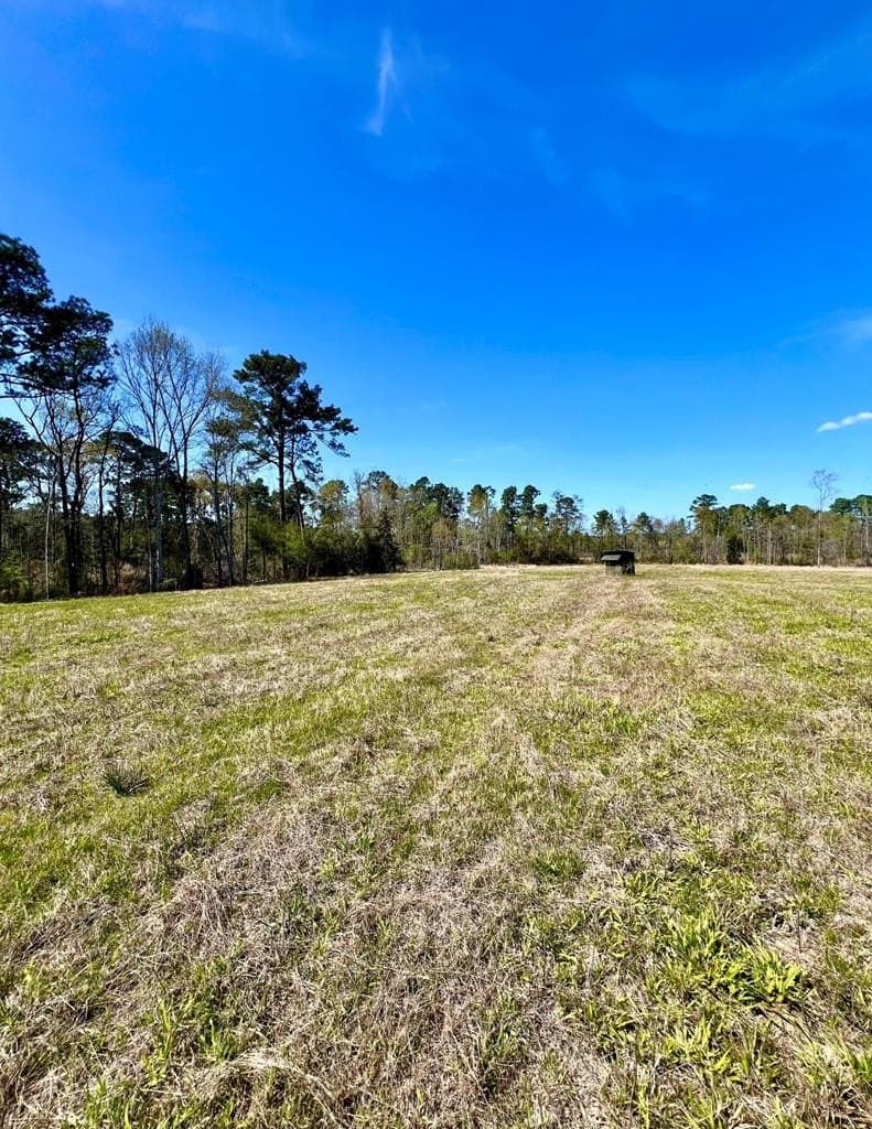 40 acres in HOUSTON County - photo 31