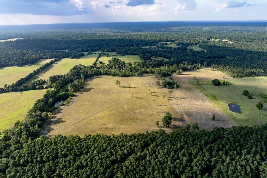 40 acres in HOUSTON County - photo 9