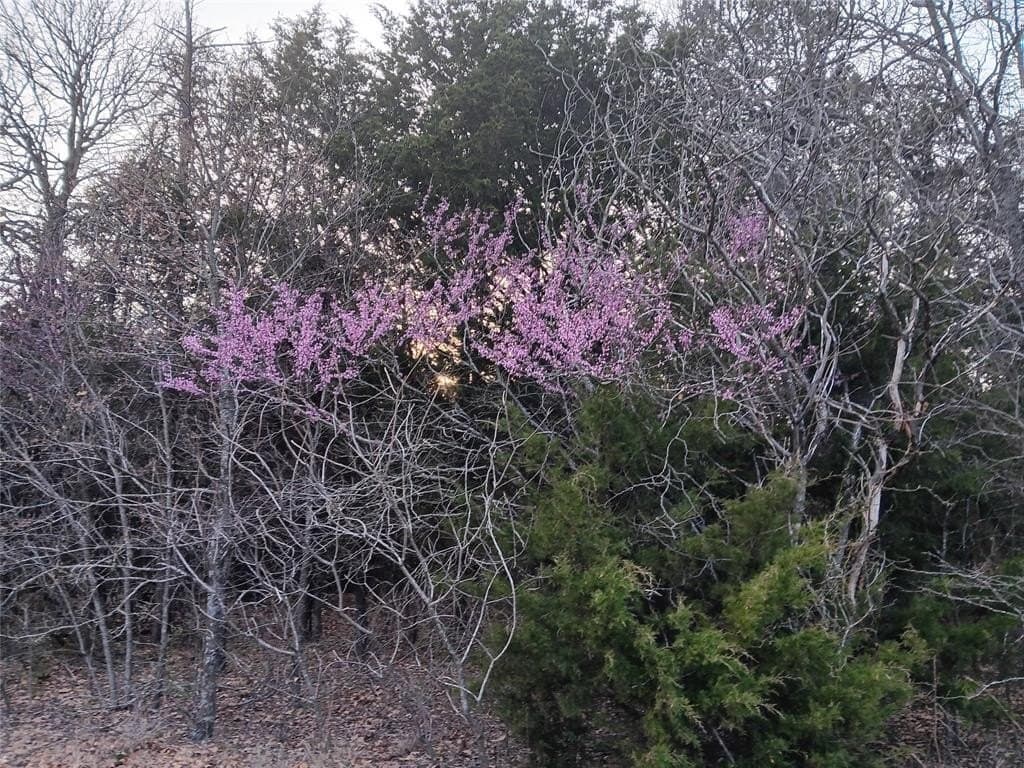 2.02 acres in Cooke County - photo 22