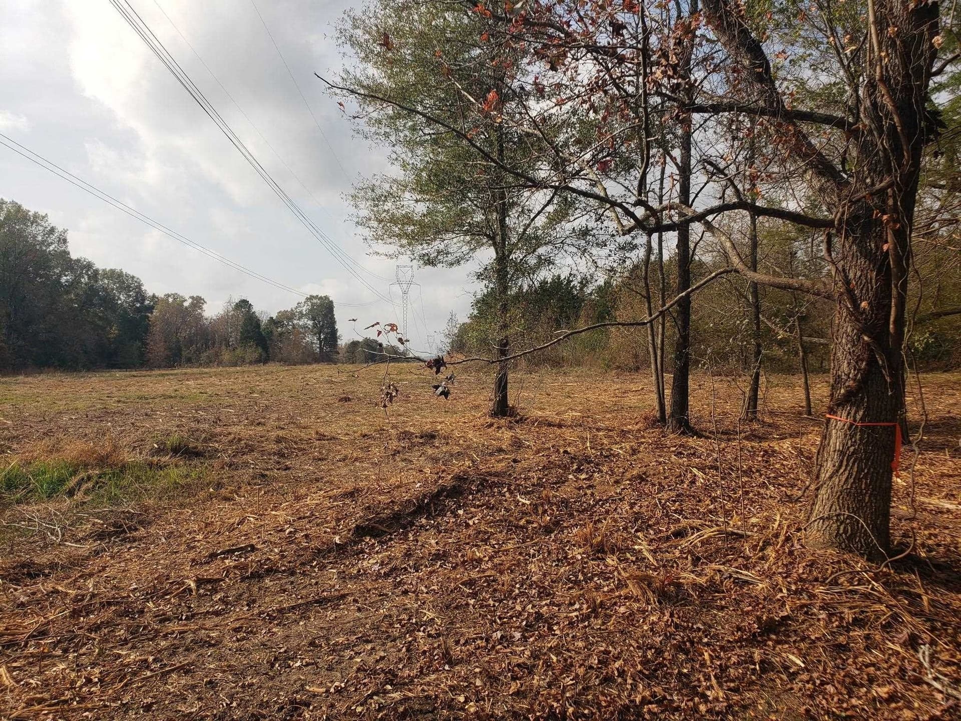 10.1 acres in Panola County - photo 2