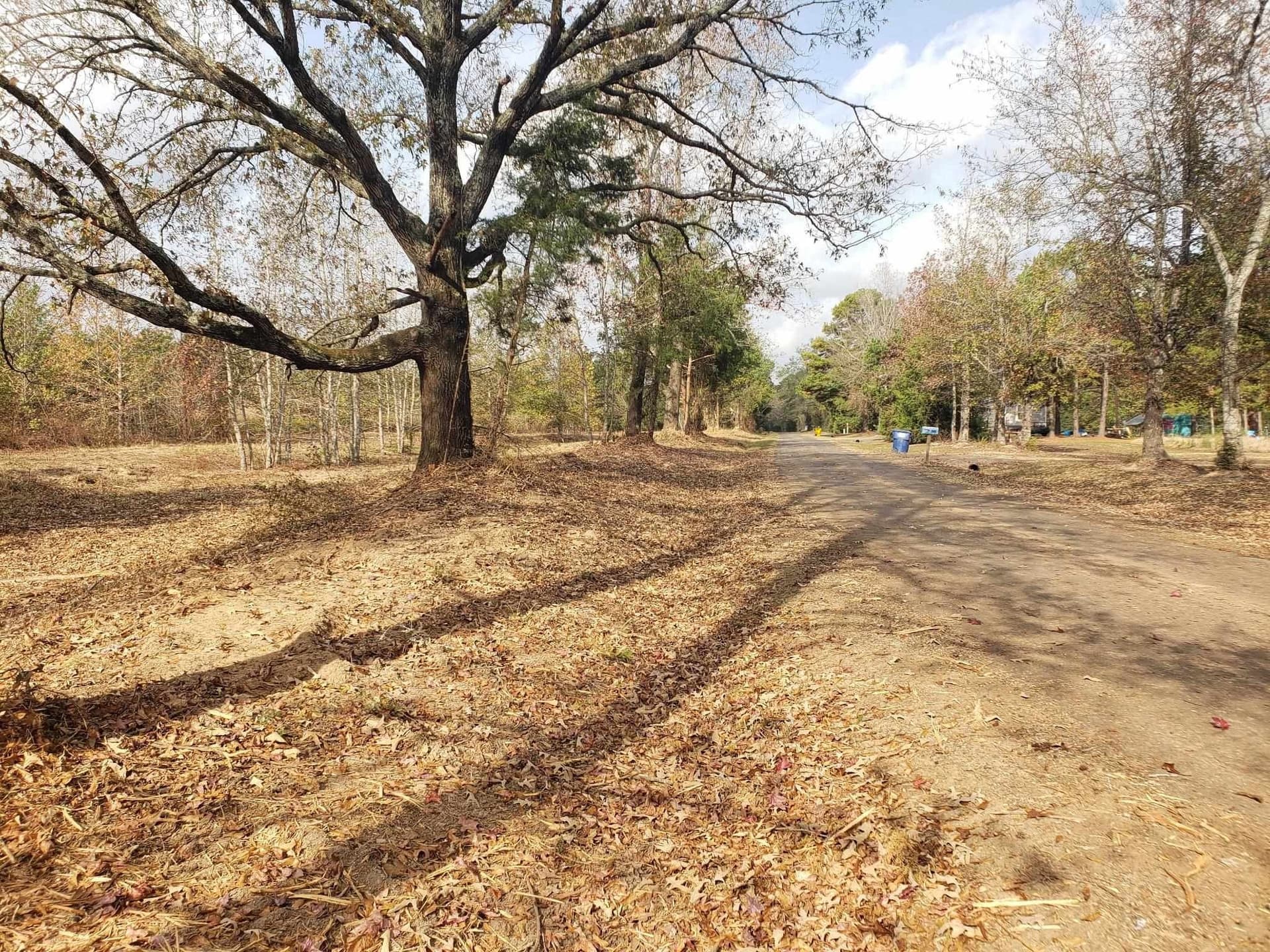 10.1 acres in Panola County - photo 7
