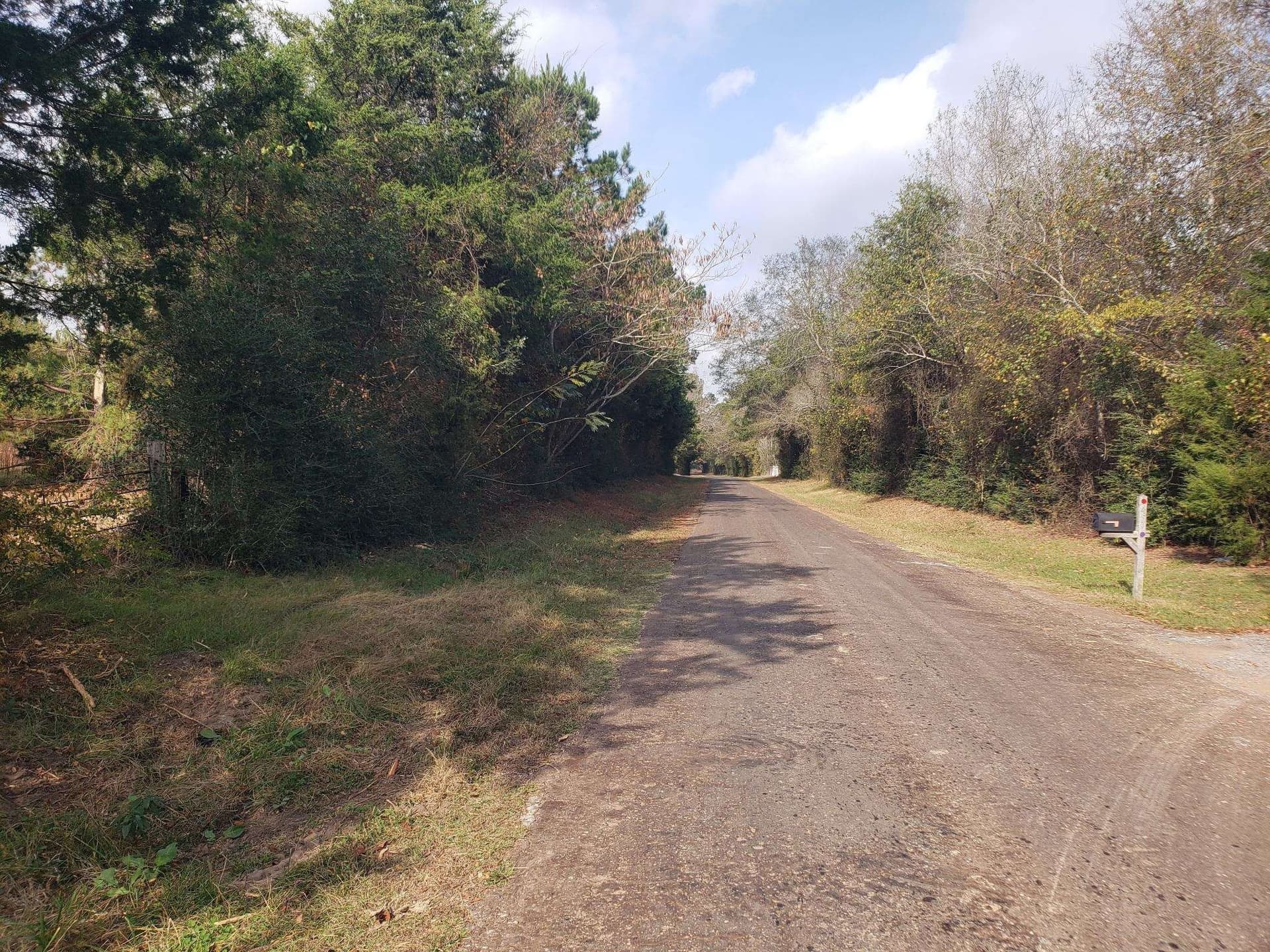 10.1 acres in Panola County - photo 10