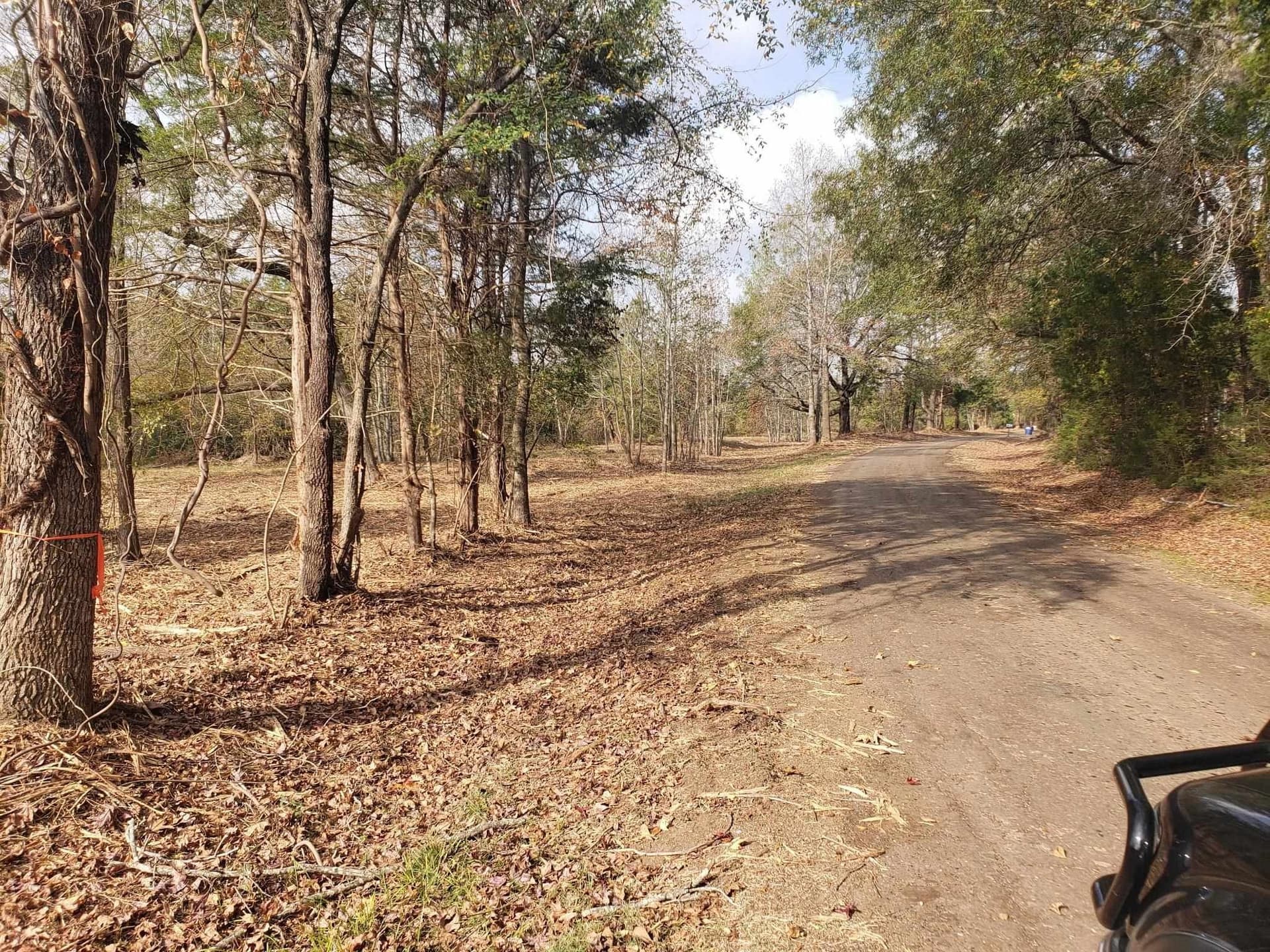 10.1 acres in Panola County - photo 3