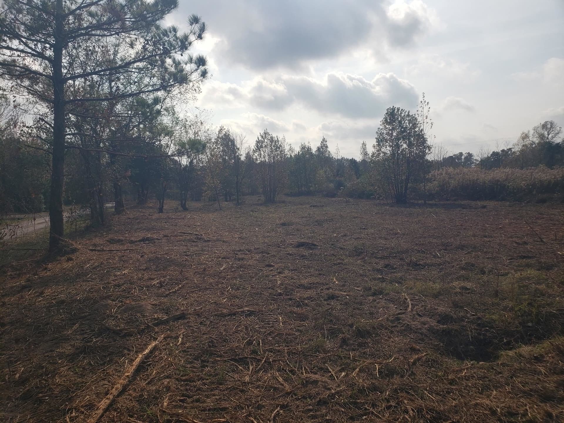 10.1 acres in Panola County - photo 14
