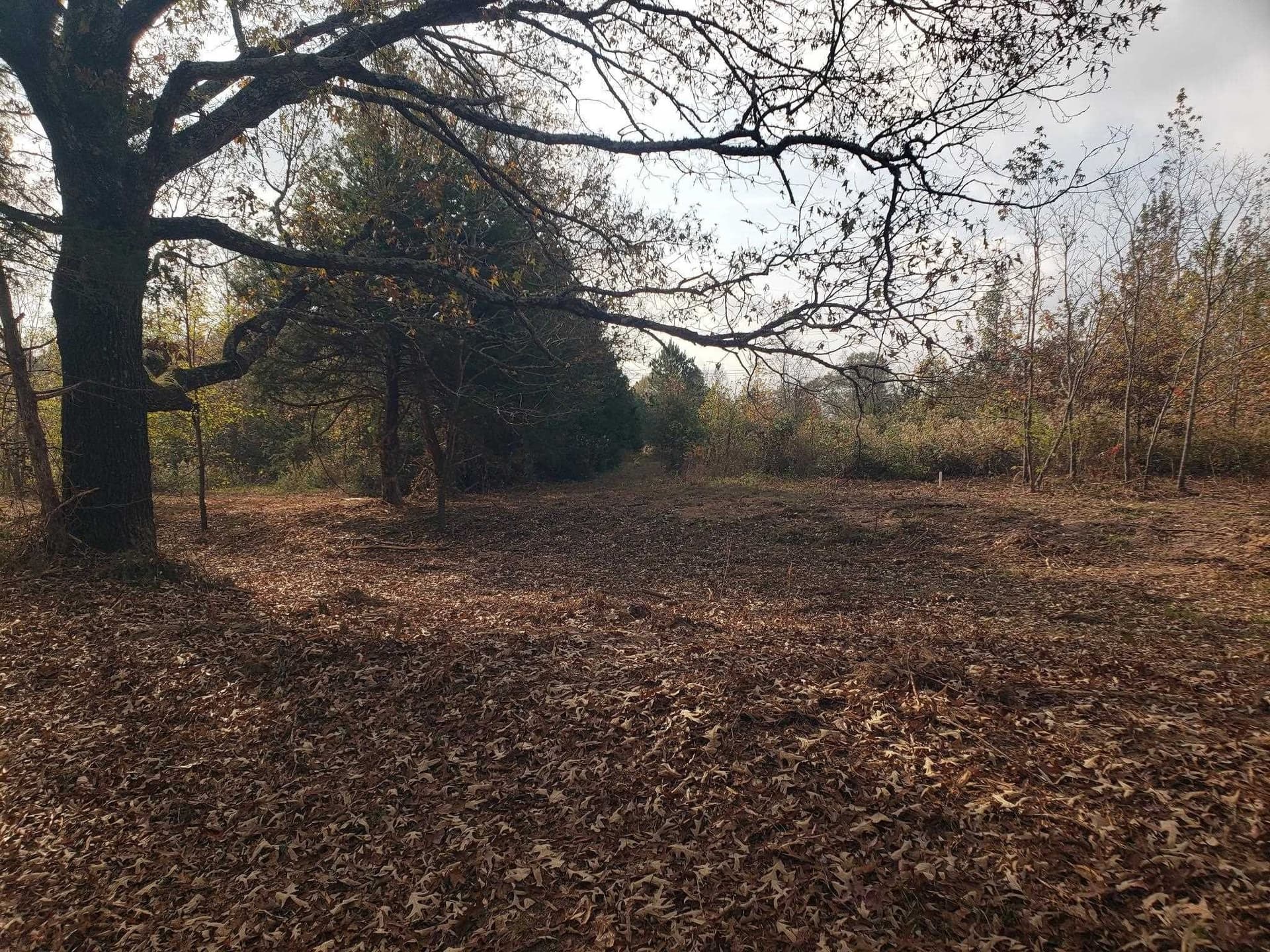 10.1 acres in Panola County - photo 8