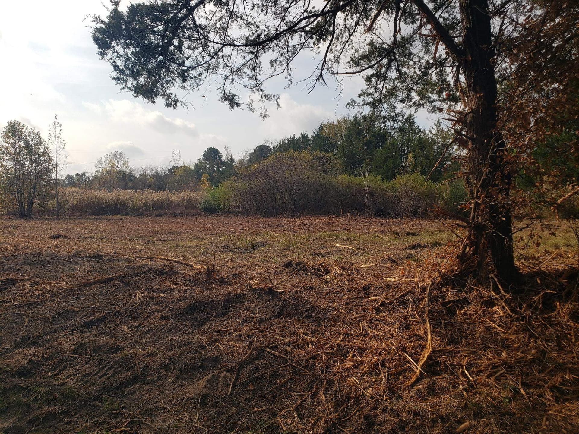 10.1 acres in Panola County - photo 12
