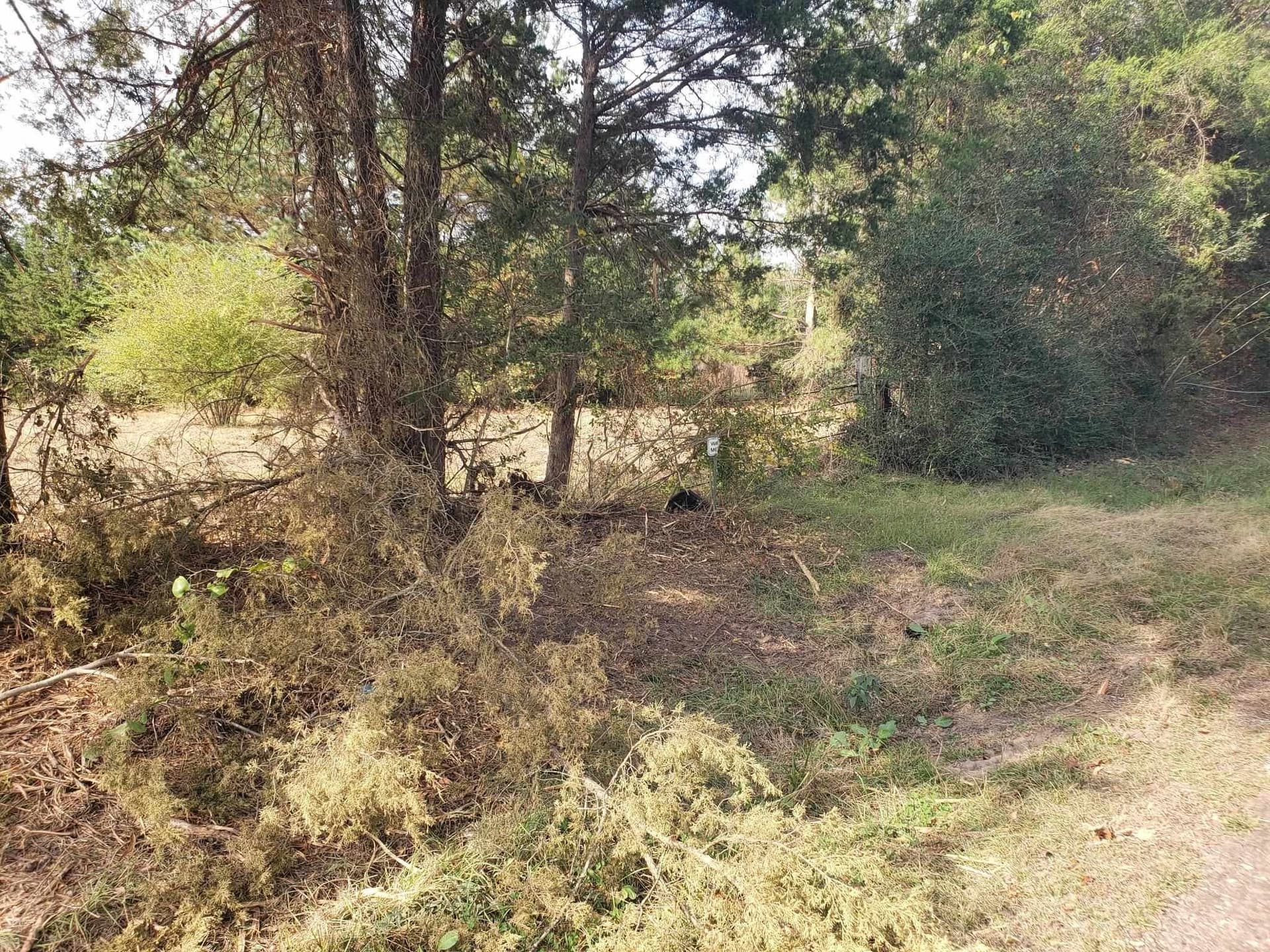 10.1 acres in Panola County - photo 11