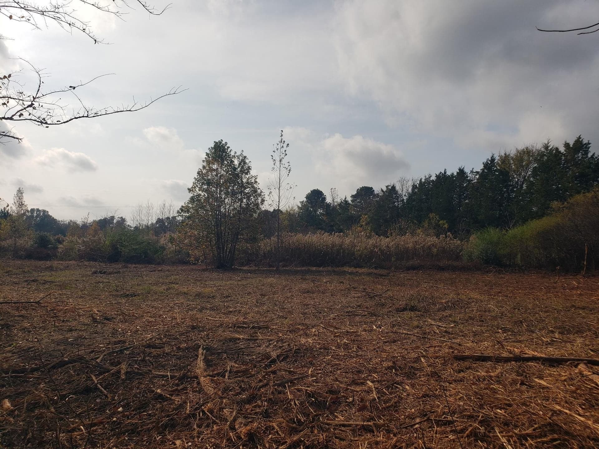 10.1 acres in Panola County - photo 16