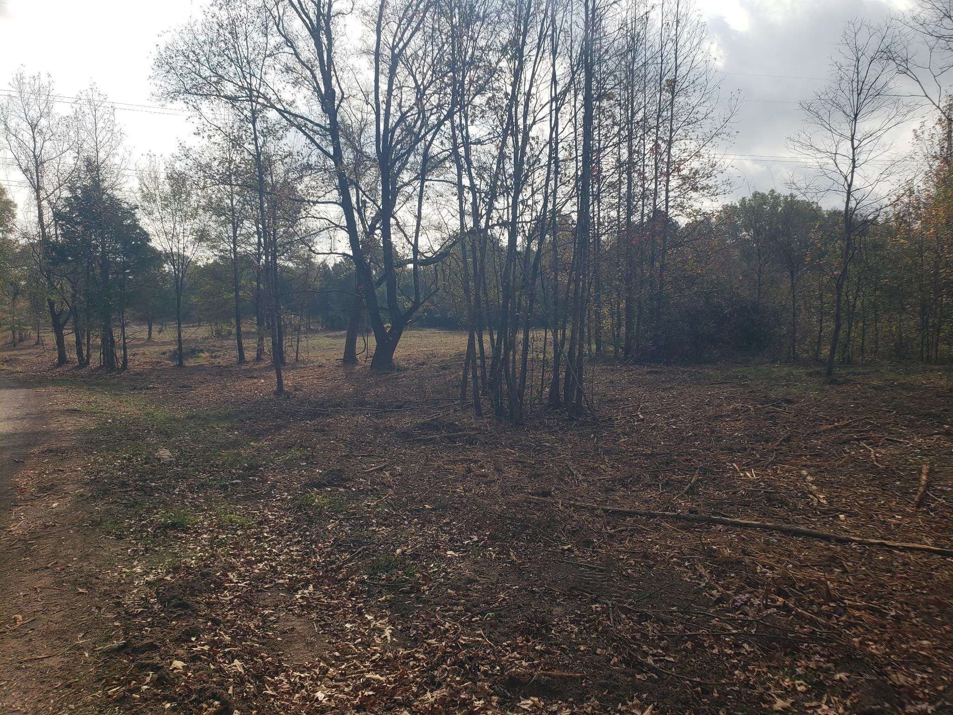 10.1 acres in Panola County - photo 4